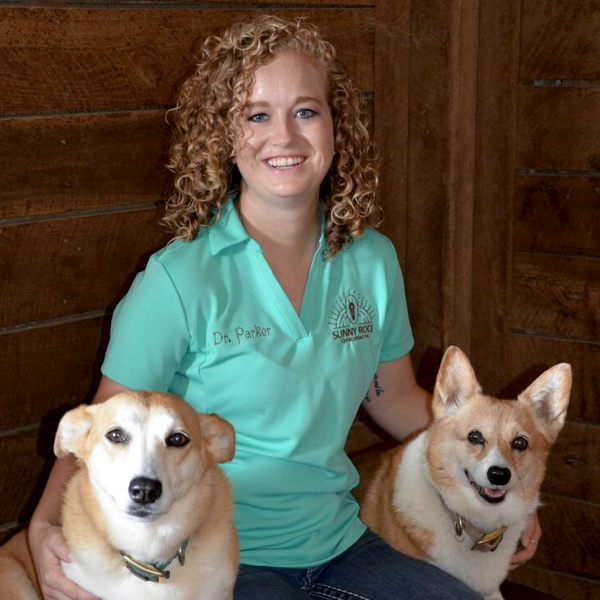 Chiropractic Care at Murphy Animal Hospital - Leanne Parker