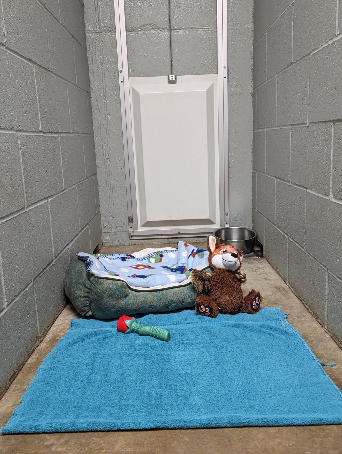 View of Indoor Kennel