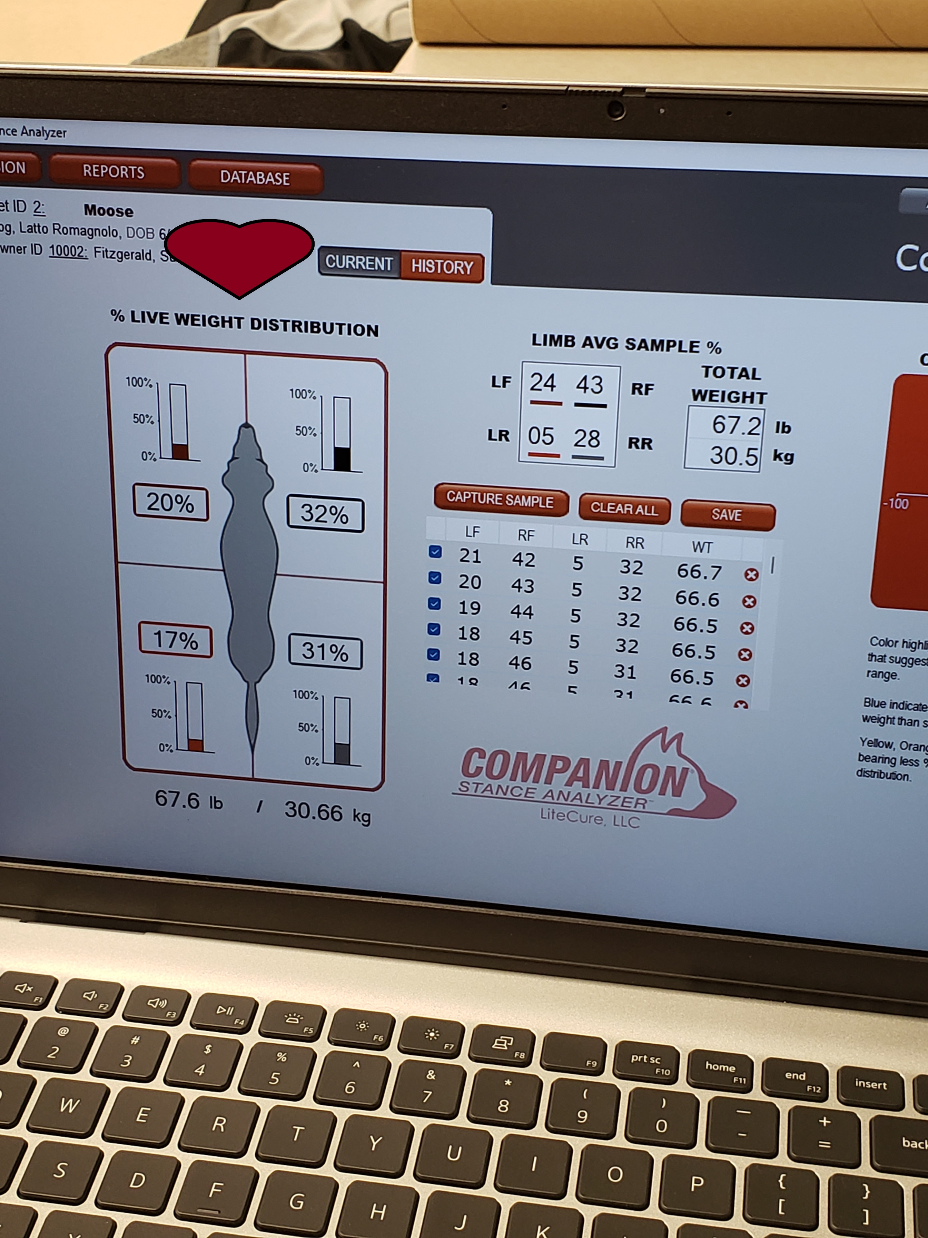 Stance Analyzer Results