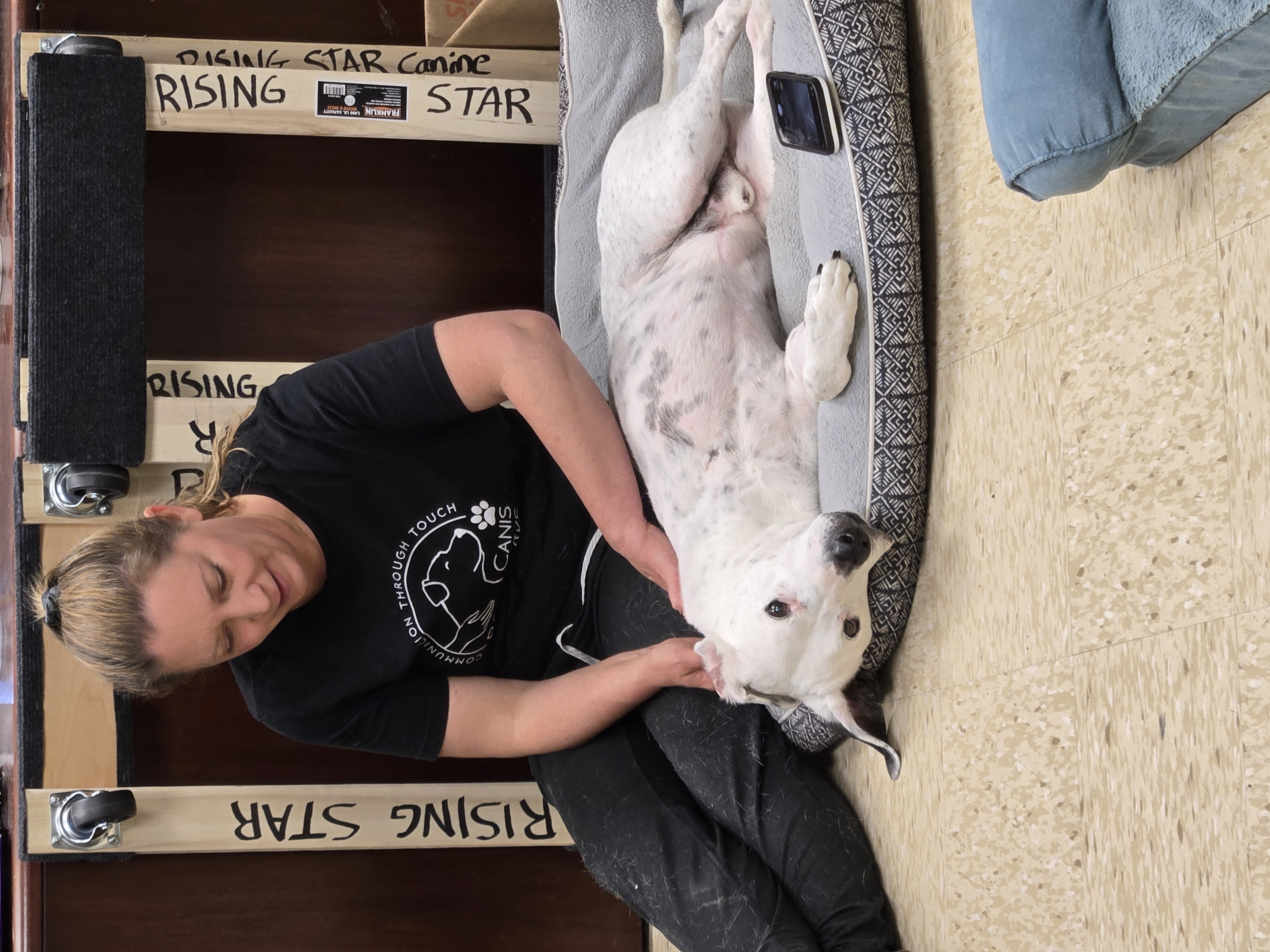 Dog laying on a bed receiving treatment