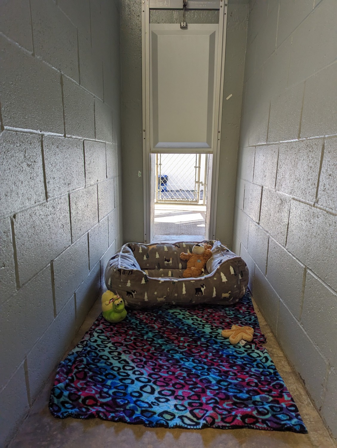 View of Indoor Kennel