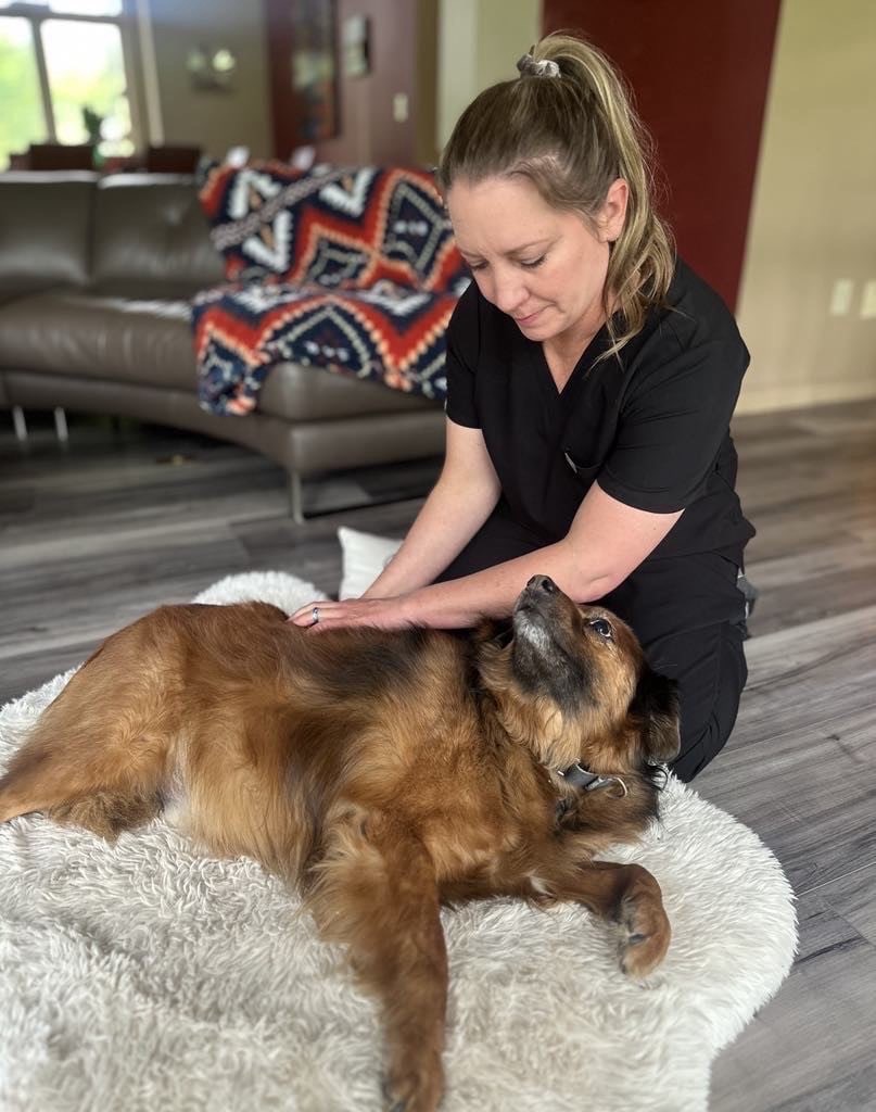 Canine Massage Therapy