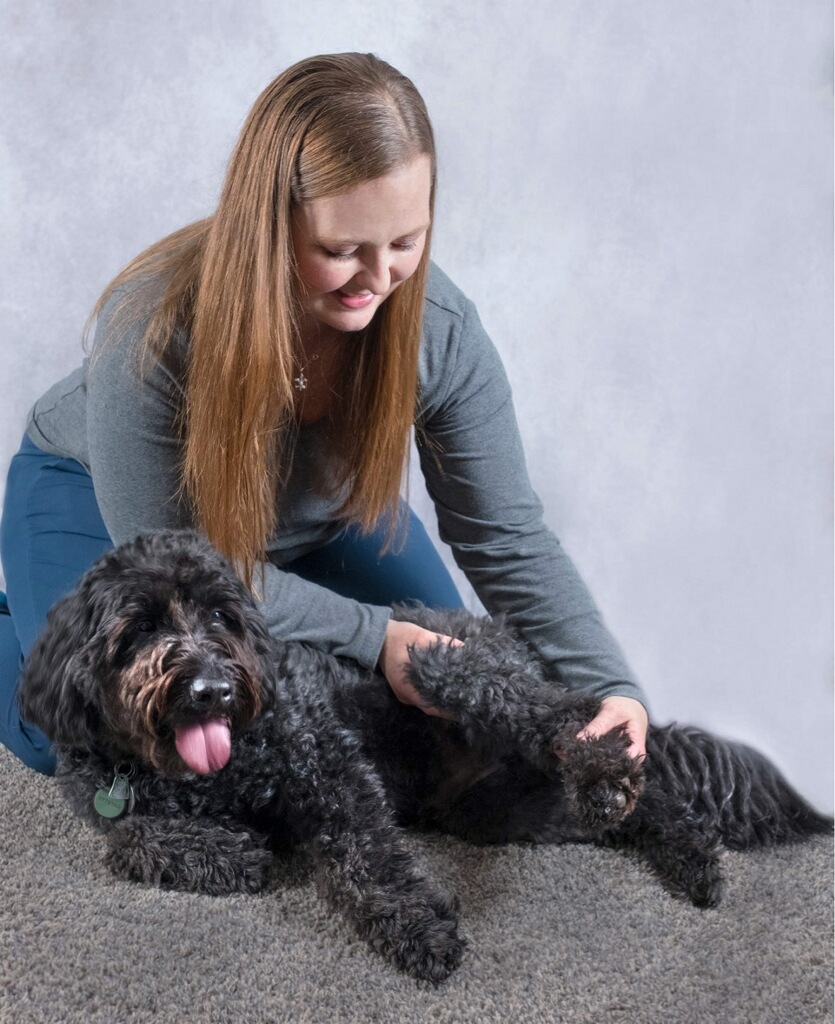 Dog Getting Massage Therapy