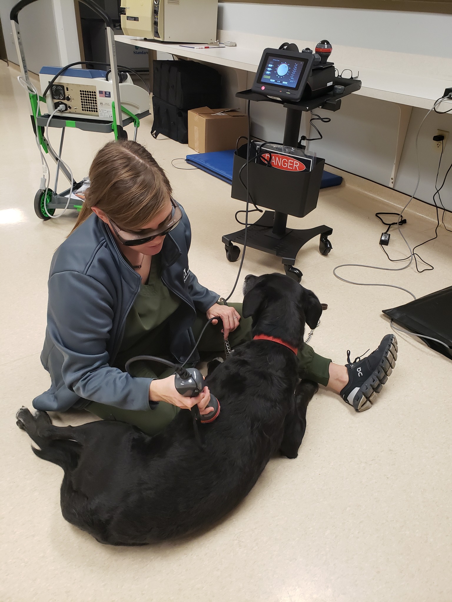 Dog Getting Therapeutic Laser Therapy