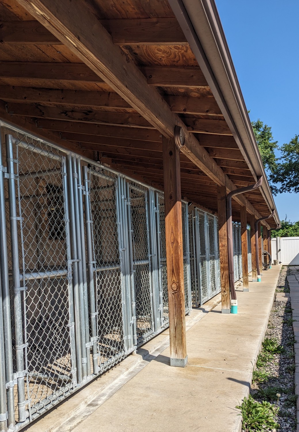 Outdoor Dog Kennels