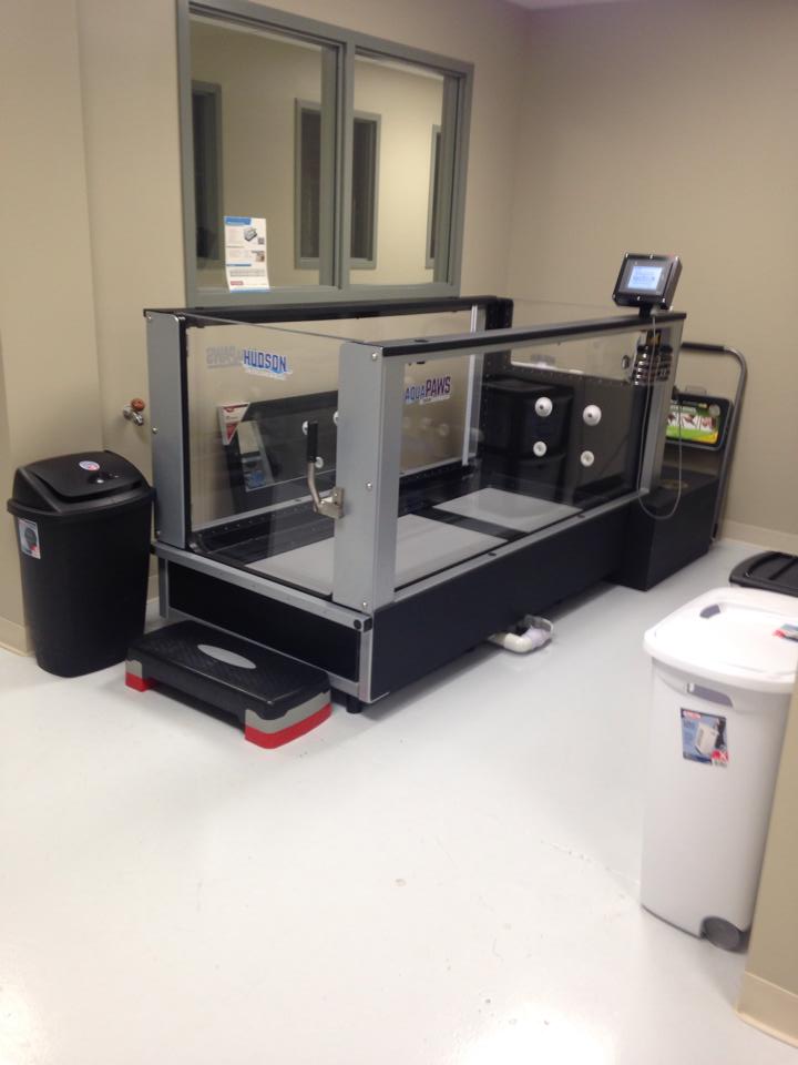 Hydrotherapy Underwater Treadmill