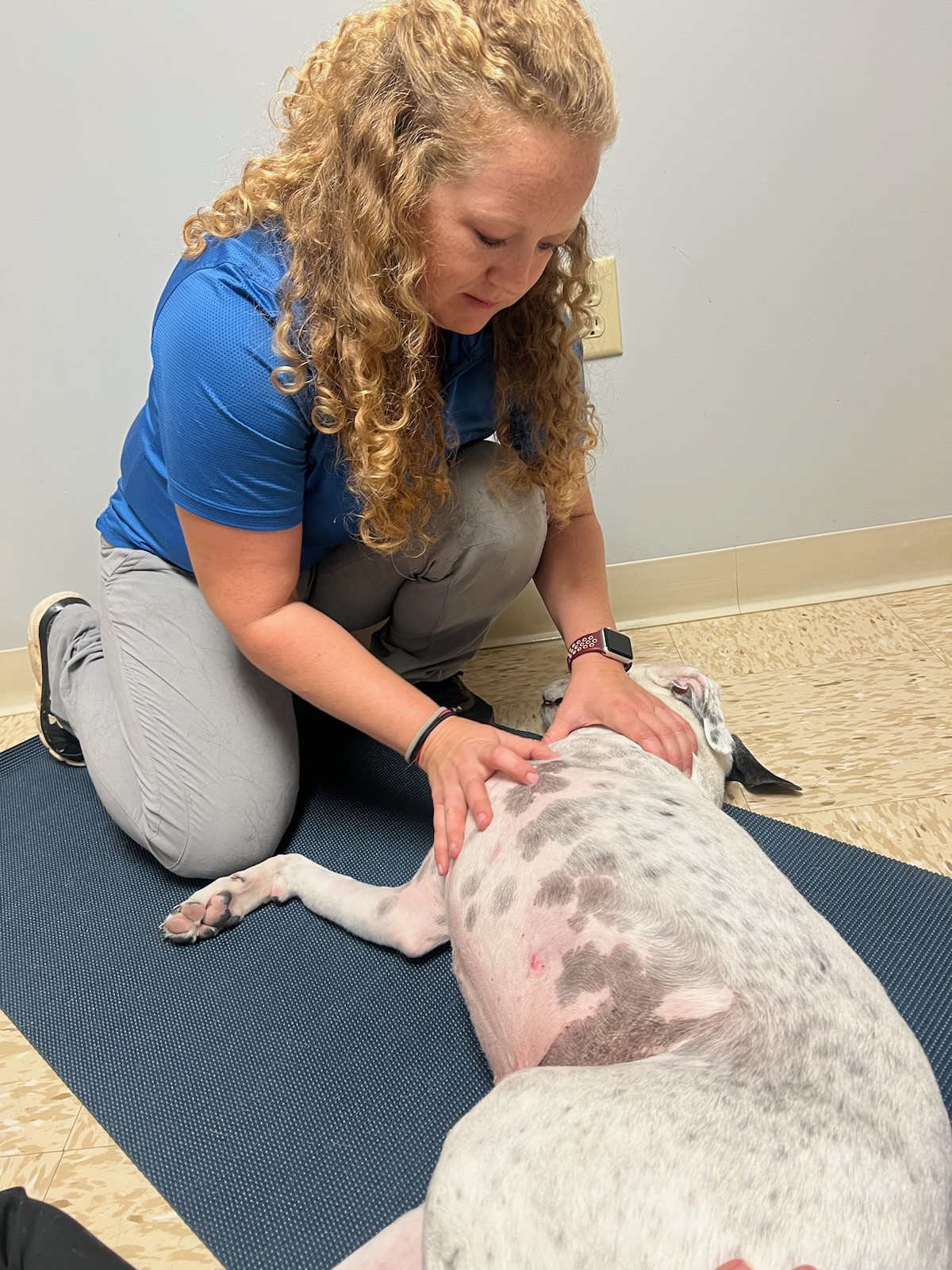 Doctor Performing Chiropractic Care