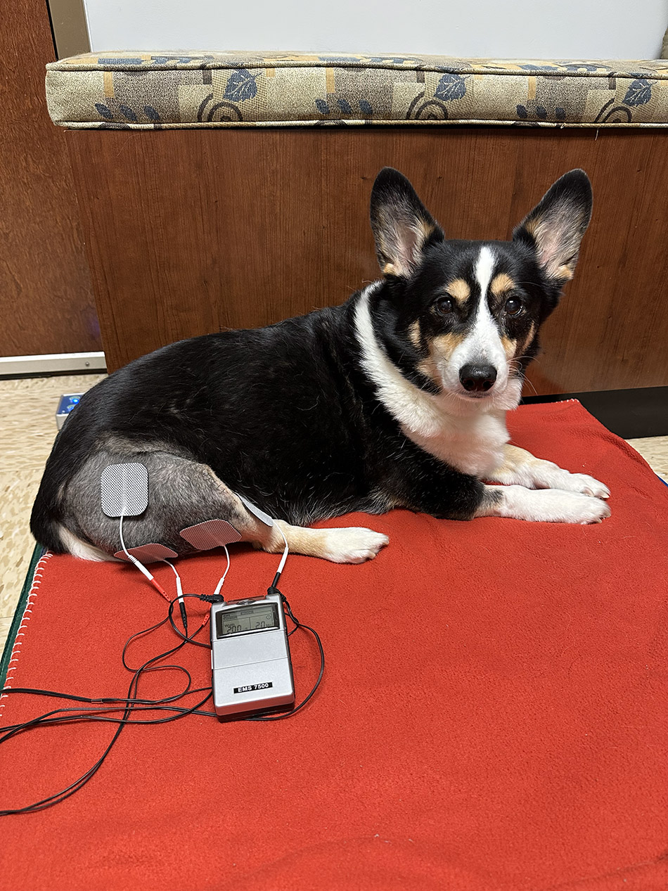 Corgi - TENS Unit