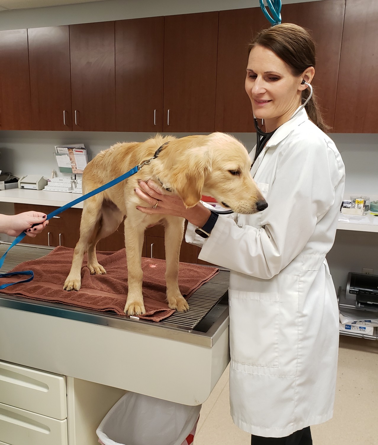 Doctor Performing a Checkup