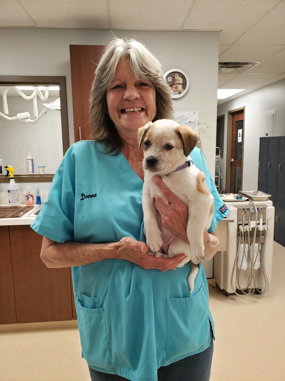 DONNA B. Veterinary Assistant