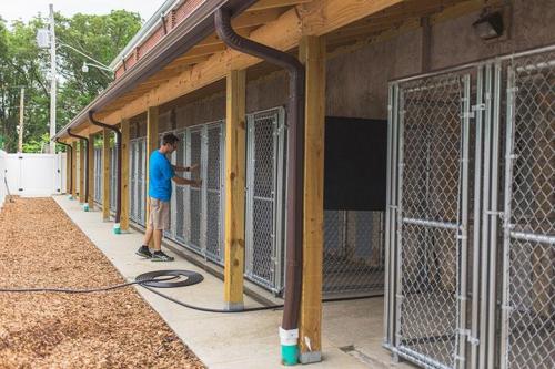 Our Outdoor Kennels