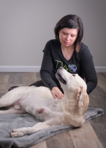 Massage Therapy on Dog